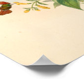 Vintage Vögel Art Bird Print Blume Poster (Ecke)