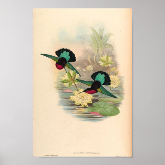 Vintage Vögel Art Bird Print Blume Poster (Vorne)