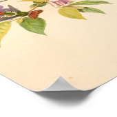 Vintage Vögel Art Bird Print Blume Poster (Ecke)