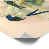 Vintage Vögel Art Bird Print Blume Poster (Ecke)