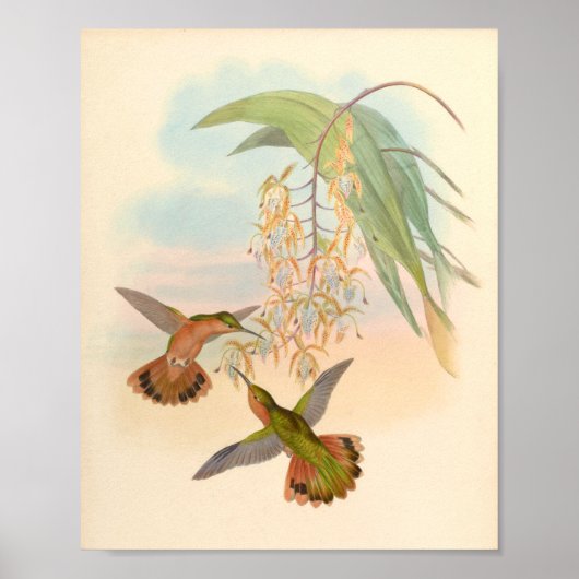 Vintage Vögel Art Bird Print Blume Poster (Vorne)