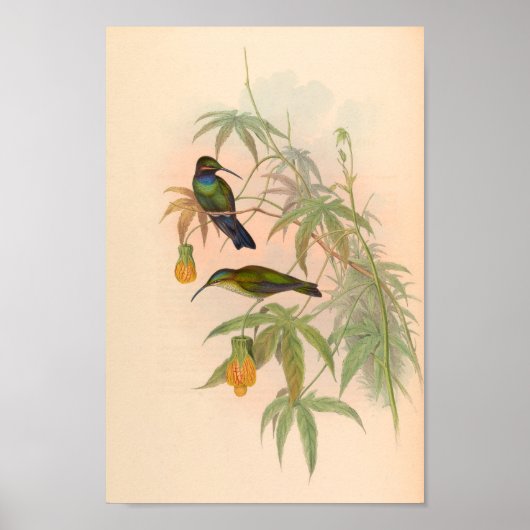 Vintage Vögel Art Bird Print Blume Poster (Vorne)