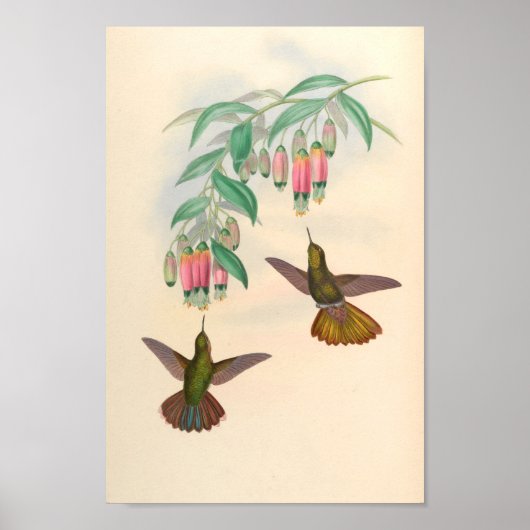 Vintage Vögel Art Bird Print Blume Poster (Vorne)