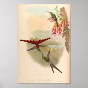Vintage Vögel Art Bird Print Blume Poster