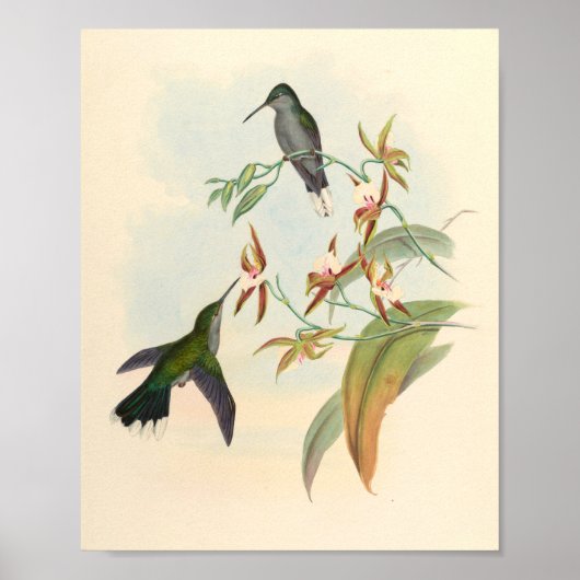 Vintage Vögel Art Bird Print Blume Poster (Vorne)