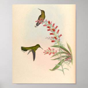 Vintage Vögel Art Bird Print Blume Poster