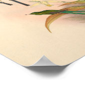 Vintage Vögel Art Bird Print Blume Poster (Ecke)