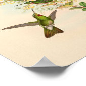 Vintage Vögel Art Bird Print Blume Poster (Ecke)