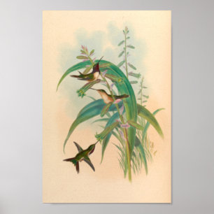 Vintage Vögel Art Bird Print Blume Poster