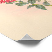 Vintage Vögel Art Bird Print Blume Poster (Ecke)