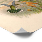 Vintage Vögel Art Bird Print Blume Poster (Ecke)