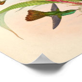 Vintage Vögel Art Bird Print Blume Poster (Ecke)