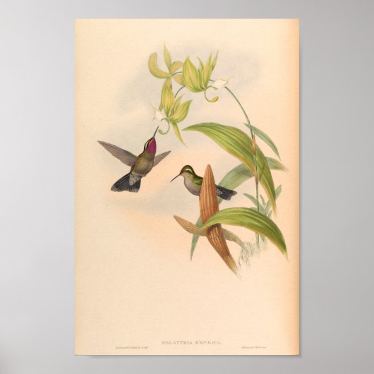 Vintage Vögel Art Bird Print Blume Poster (Vorne)