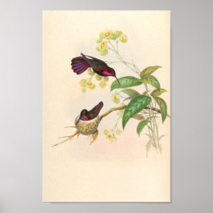 Vintage Vögel Art Bird Print Blume Poster