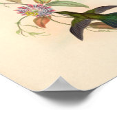 Vintage Vögel Art Bird Print Blume Poster (Ecke)