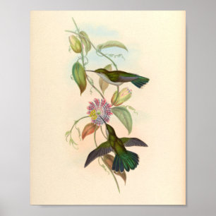 Vintage Vögel Art Bird Print Blume Poster