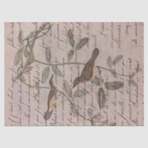 Vintage Vögel auf Zweigen mit Schreibdekoupage Seidenpapier
