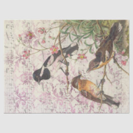 Vintage Vögel auf Zweigen und Musikdekoupage Seidenpapier