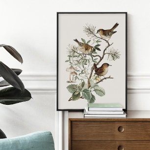 Vintage-Vogel-Botanik Poster