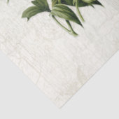 Vintage Vögel Botanische Blume Ephemera Decoupage Seidenpapier (Ausschnitt)