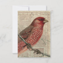 Vintage-Vogel-Collage-Leerkarte