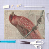 Vintage Vogel-Collage Seidenpapier (Handwerk)