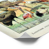 Vintage Vögel der Welt Poster (Ecke)