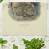 Vintage Vögel der Wissenschafts-NZ - NZ Eisvogel Geschirrtuch (Gefaltet)