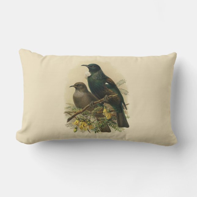 Vintage Vögel der Wissenschafts-NZ - Tui Lendenkissen (Vorderseite)