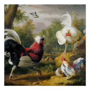 Vintage Vögel Die Hähne kämpfen       Poster
