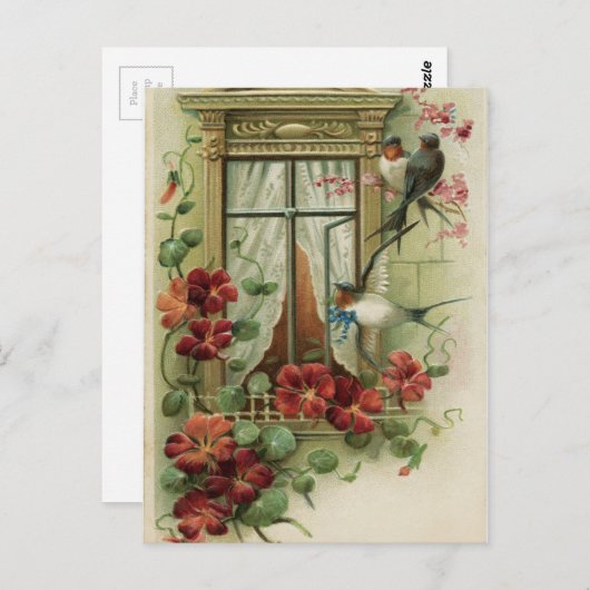 Vintage Vögel durch das Fenster Postkarte (Vorne/Hinten)
