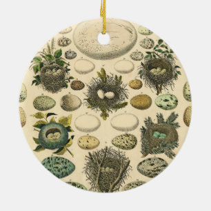 Vintage Vogel-Ei-Nest-Kunstmalerei Naturgeschichte Keramik Ornament