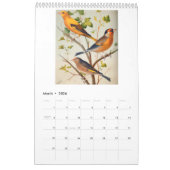 Vintage Vögel - Finches und Weaver 2026 Kalender (Mär 2026)