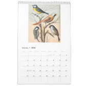 Vintage Vögel - Finches und Weaver 2026 Kalender (Jan 2026)