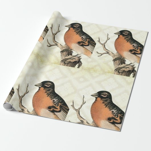 Vintage Vogel Geschenkpapier (Ungerollt)