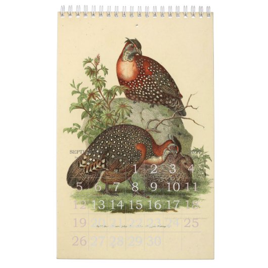 Vintage Vogel-Illustrations-Sammlung Kalender (Sep 2027)