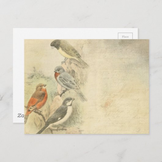 Vintage Vögel im Baumhintergrund Postkarte (Vorne/Hinten)