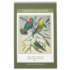 Vintage Vögel - Papageien und Papageien 2026 Kalender