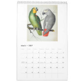 Vintage Vögel - Papageien und Papageien 2026 Kalender (Mär 2027)