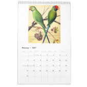 Vintage Vögel - Papageien und Papageien 2026 Kalender (Feb 2027)
