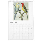 Vintage Vögel - Papageien und Papageien 2026 Kalender (Jan 2027)