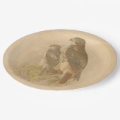 Vintage Vögel Pappteller (Schrägansicht)