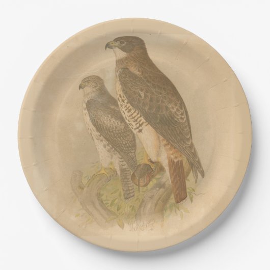 Vintage Vögel Pappteller (Vorderseite)
