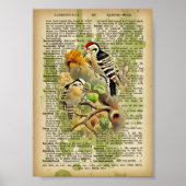 Vintage Vögel Poster (Vorne)