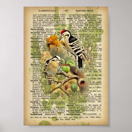 Vintage Vögel Poster (Vorne)