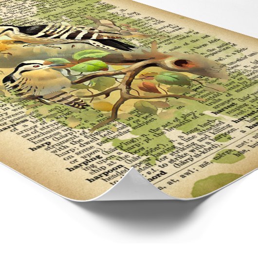 Vintage Vögel Poster (Ecke)