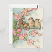 Vintage Vögel Postkarte (Vorne/Hinten)