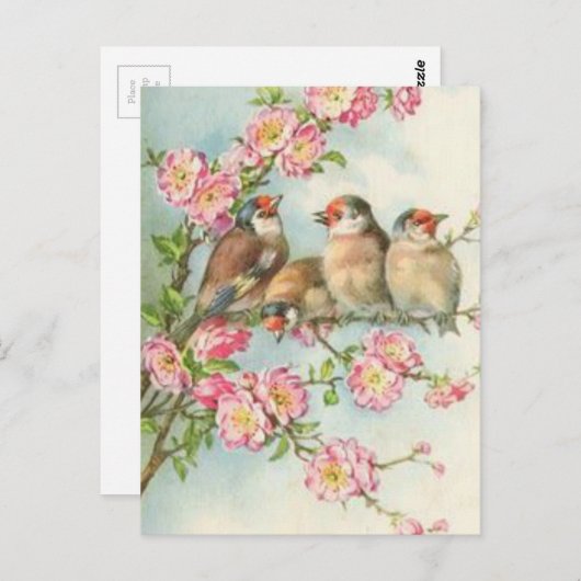Vintage Vögel Postkarte (Vorne/Hinten)