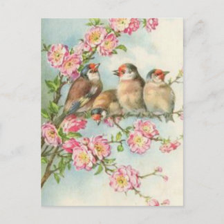 Vintage Vögel Postkarte