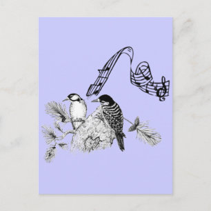 Vintage Vögel Postkarte